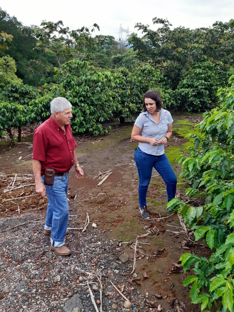 Carlos small holding organic coffee bushes. Carlos with Maria Angela the Sustainability Manager for the CoopeVictoria Cooperative
